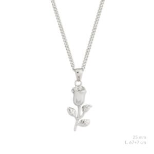 Gargantilla de acero inoxidable