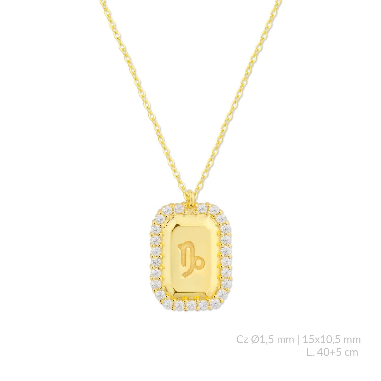 Gargantilla de Plata de Ley con circonitas | Capricornio